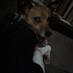 Meet your Posher, Christine